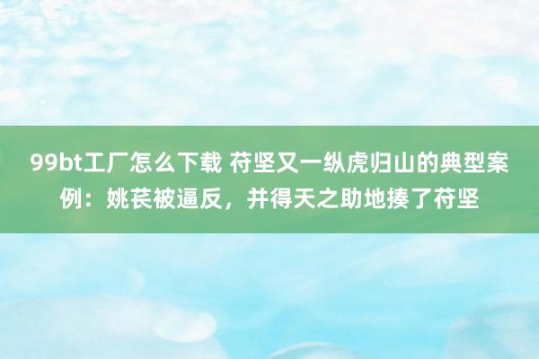 99bt工厂怎么下载 苻坚又一纵虎归山的典型案例：姚苌被逼反，并得天之助地揍了苻坚