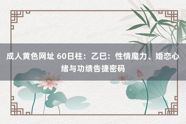 成人黄色网址 60日柱：乙巳：性情魔力、婚恋心绪与功绩告捷密码