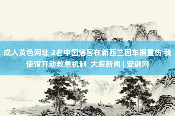 成人黄色网址 2名中国搭客在新西兰因车祸重伤 我使馆开动救急机制_大皖新闻 | 安徽网