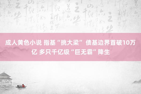 成人黄色小说 指基“挑大梁” 债基边界首破10万亿 多只千亿级“巨无霸”降生