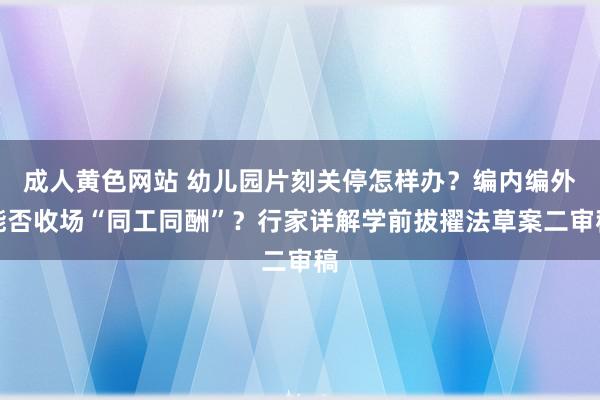 成人黄色网站 幼儿园片刻关停怎样办？编内编外能否收场“同工同酬”？行家详解学前拔擢法草案二审稿