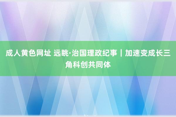 成人黄色网址 远眺·治国理政纪事｜加速变成长三角科创共同体