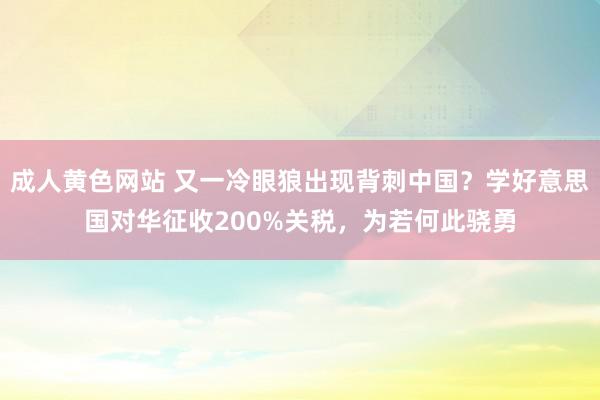 成人黄色网站 又一冷眼狼出现背刺中国？学好意思国对华征收200%关税，为若何此骁勇