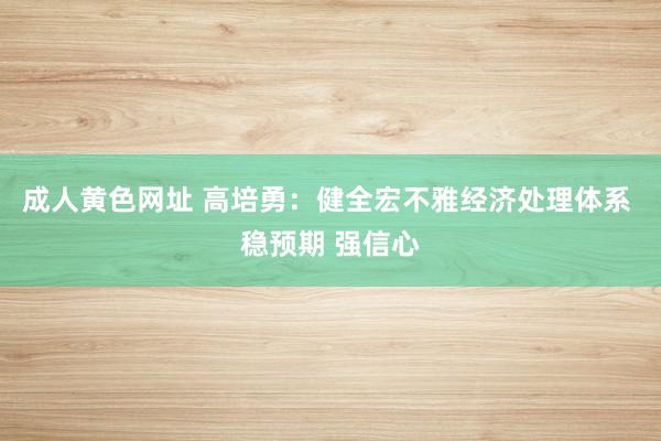 成人黄色网址 高培勇：健全宏不雅经济处理体系 稳预期 强信心