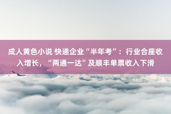 成人黄色小说 快递企业“半年考”：行业合座收入增长，“两通一达”及顺丰单票收入下滑