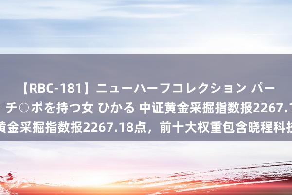 【RBC-181】ニューハーフコレクション パーフェクトエロマシーン チ○ポを持つ女 ひかる 中证黄金采掘指数报2267.18点，前十大权重包含晓程科技等