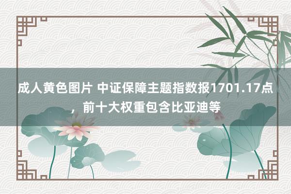 成人黄色图片 中证保障主题指数报1701.17点，前十大权重包含比亚迪等