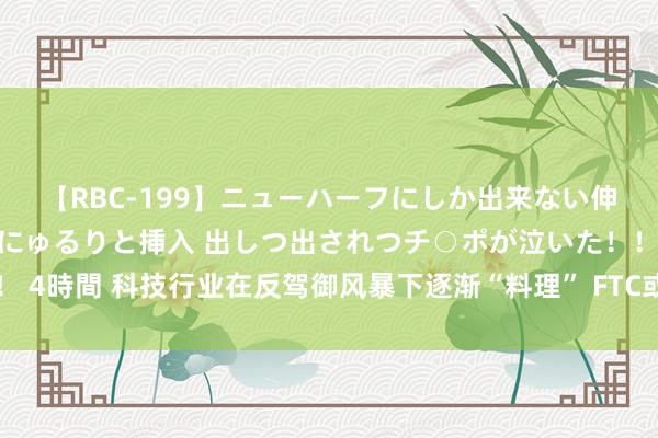 【RBC-199】ニューハーフにしか出来ない伸縮自在アナルマ○コににゅるりと挿入 出しつ出されつチ○ポが泣いた！！！ 4時間 科技行业在反驾御风暴下逐渐“料理” FTC或对大型并购组成始终影响