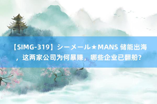 【SIMG-319】シーメール★MANS 储能出海，这两家公司为何暴赚，哪些企业已翻船？