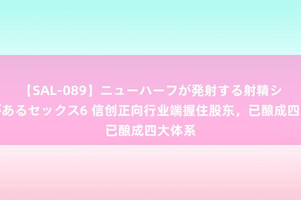 【SAL-089】ニューハーフが発射する射精シーンがあるセックス6 信创正向行业端握住股东，已酿成四大体系