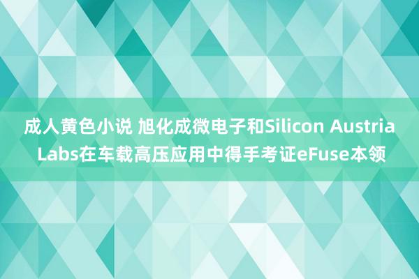 成人黄色小说 旭化成微电子和Silicon Austria Labs在车载高压应用中得手考证eFuse本领