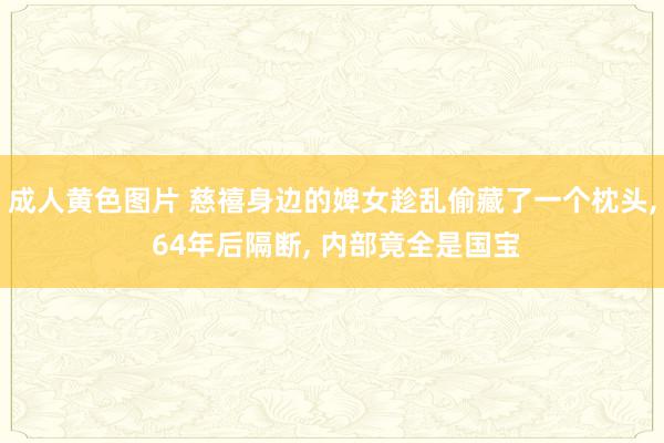 成人黄色图片 慈禧身边的婢女趁乱偷藏了一个枕头, 64年后隔断, 内部竟全是国宝