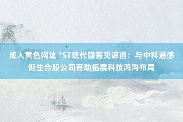 成人黄色网址 *ST现代回答见谅函：与中科遥感诞生合股公司有助拓展科技鸿沟布局