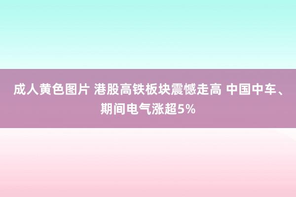 成人黄色图片 港股高铁板块震憾走高 中国中车、期间电气涨超5%