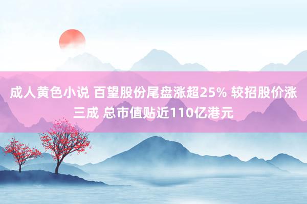 成人黄色小说 百望股份尾盘涨超25% 较招股价涨三成 总市值贴近110亿港元