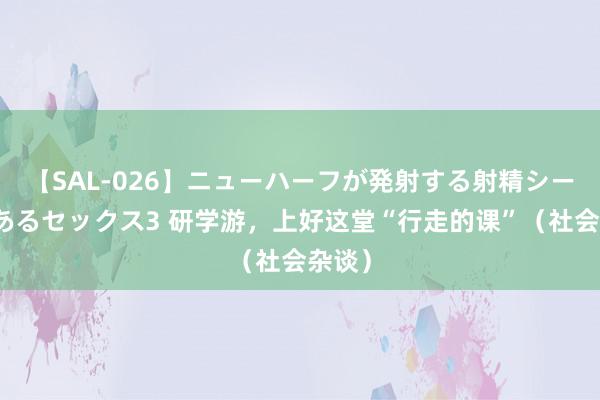 【SAL-026】ニューハーフが発射する射精シーンがあるセックス3 研学游，上好这堂“行走的课”（社会杂谈）