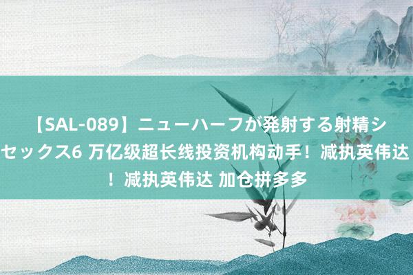 【SAL-089】ニューハーフが発射する射精シーンがあるセックス6 万亿级超长线投资机构动手！减执英伟达 加仓拼多多