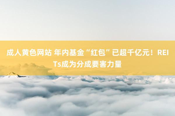 成人黄色网站 年内基金“红包”已超千亿元！REITs成为分成要害力量