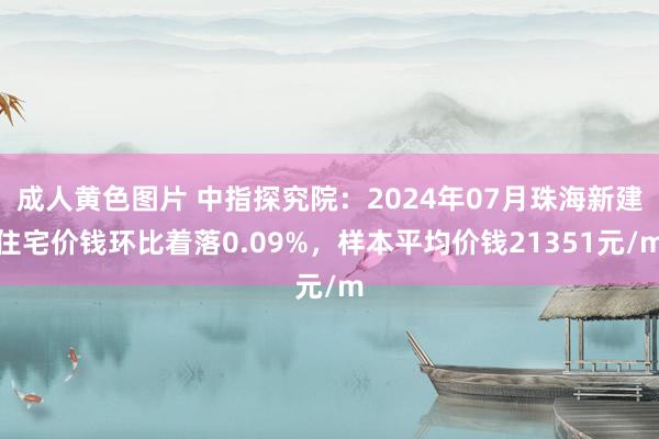 成人黄色图片 中指探究院：2024年07月珠海新建住宅价钱环比着落0.09%，样本平均价钱21351元/m