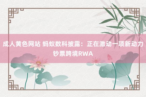 成人黄色网站 蚂蚁数科披露：正在激动一项新动力钞票跨境RWA