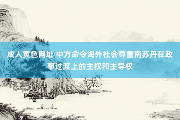 成人黄色网址 中方命令海外社会尊重南苏丹在政事过渡上的主权和主导权