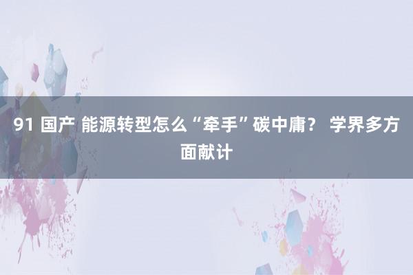 91 国产 能源转型怎么“牵手”碳中庸？ 学界多方面献计