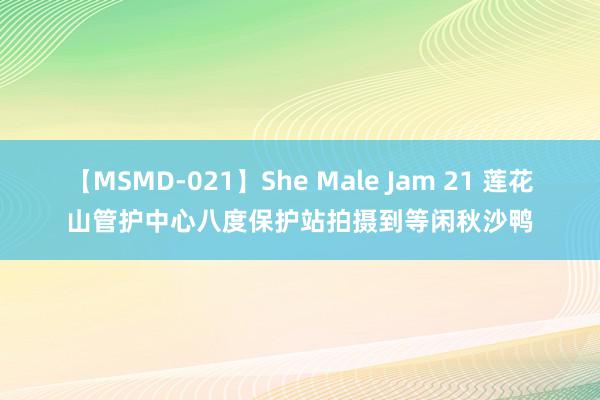 【MSMD-021】She Male Jam 21 莲花山管护中心八度保护站拍摄到等闲秋沙鸭