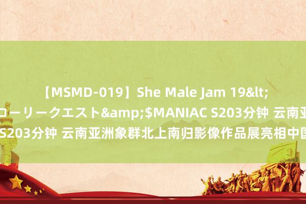 【MSMD-019】She Male Jam 19</a>2008-08-04グローリークエスト&$MANIAC S203分钟 云南亚洲象群北上南归影像作品展亮相中国科学本事馆