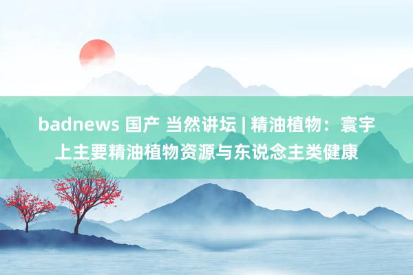 badnews 国产 当然讲坛 | 精油植物：寰宇上主要精油植物资源与东说念主类健康