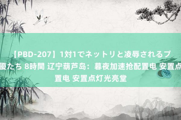 【PBD-207】1対1でネットリと凌辱されるプレミア女優たち 8時間 辽宁葫芦岛：暮夜加速抢配置电 安置点灯光亮堂