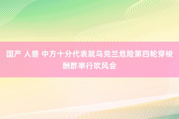 国产 人兽 中方十分代表就乌克兰危险第四轮穿梭酬酢举行吹风会